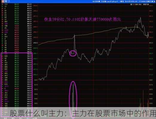 股票什么叫主力：主力在股票市场中的作用