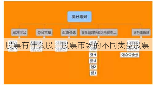 股票有什么股：股票市场的不同类型股票
