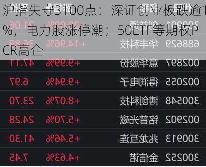 沪指失守3100点：深证创业板跌逾1%，电力股涨停潮；50ETF等期权PCR高企