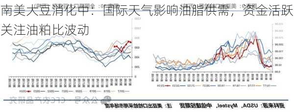 南美大豆消化中：国际天气影响油脂供需，资金活跃关注油粕比波动