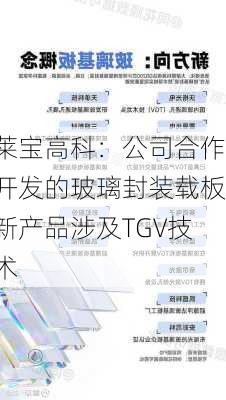 莱宝高科：公司合作开发的玻璃封装载板新产品涉及TGV技术