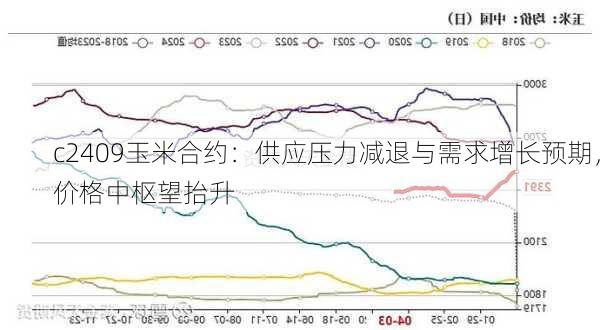 c2409玉米合约：供应压力减退与需求增长预期，价格中枢望抬升