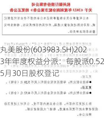 丸美股份(603983.SH)2023年年度权益分派：每股派0.52元 5月30日股权登记