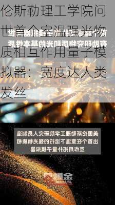 伦斯勒理工学院问世首个室温强光物质相互作用量子模拟器：宽度达人类发丝