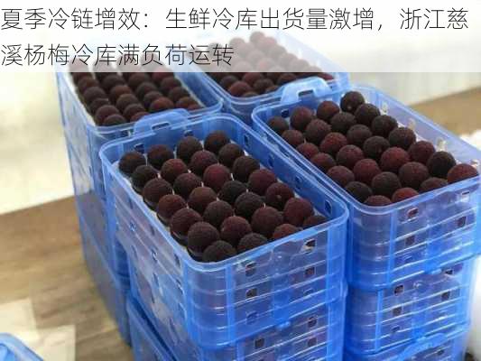 夏季冷链增效：生鲜冷库出货量激增，浙江慈溪杨梅冷库满负荷运转