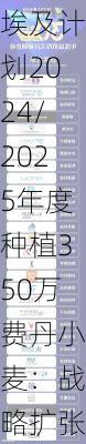 埃及计划2024/2025年度种植350万费丹小麦：战略扩张