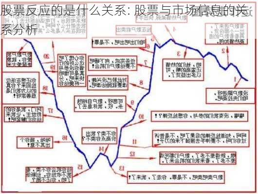 股票反应的是什么关系: 股票与市场信息的关系分析