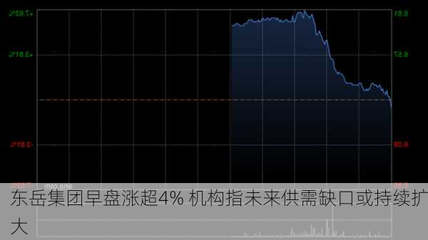 东岳集团早盘涨超4% 机构指未来供需缺口或持续扩大