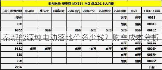 秦新能源纯电动落地价多少钱？购车成本分析