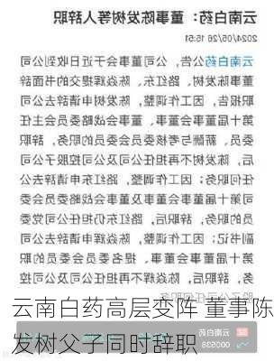 云南白药高层变阵 董事陈发树父子同时辞职