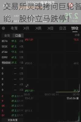 交易所灵魂拷问巨轮智能，股价立马跌停！