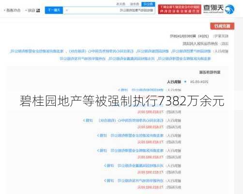 碧桂园地产等被强制执行7382万余元