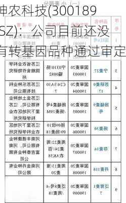 神农科技(300189.SZ)：公司目前还没有转基因品种通过审定