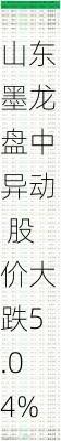 山东墨龙盘中异动 股价大跌5.04%