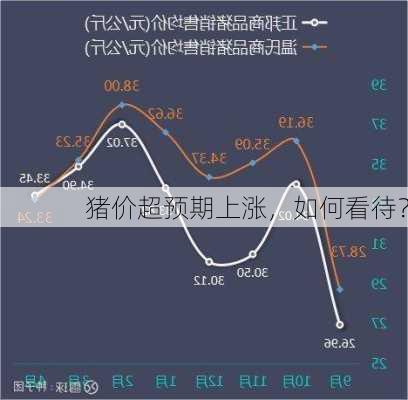 猪价超预期上涨，如何看待？