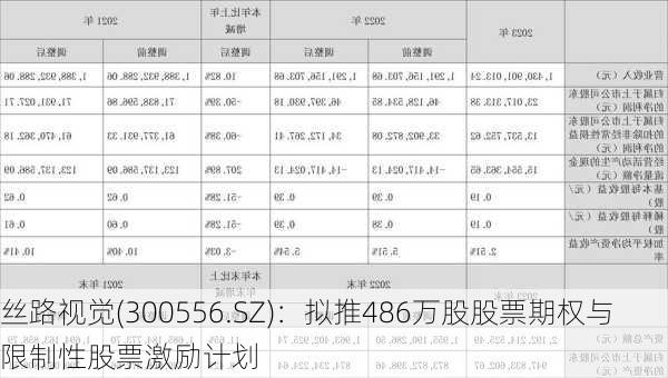 丝路视觉(300556.SZ)：拟推486万股股票期权与限制性股票激励计划