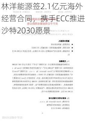 林洋能源签2.1亿元海外经营合同，携手ECC推进沙特2030愿景