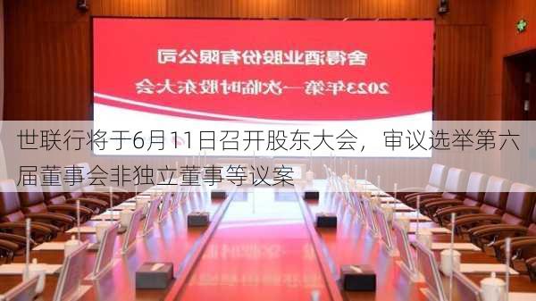 世联行将于6月11日召开股东大会，审议选举第六届董事会非独立董事等议案