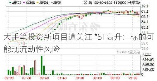 大手笔投资新项目遭关注 *ST高升：标的可能现流动性风险