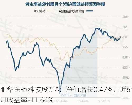 鹏华医药科技股票A：净值增长0.47%，近6个月收益率-11.64%