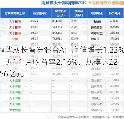 鹏华成长智选混合A：净值增长1.23%，近1个月收益率2.16%，规模达22.56亿元