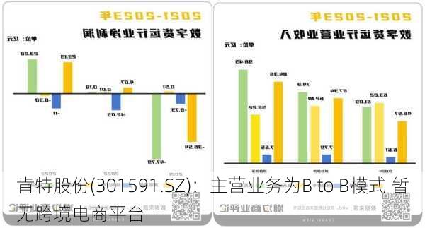 肯特股份(301591.SZ)：主营业务为B to B模式 暂无跨境电商平台