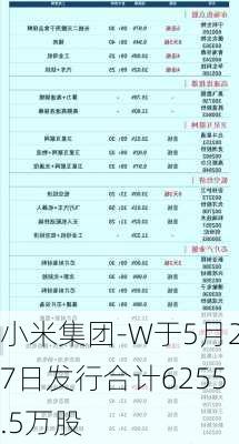 小米集团-W于5月27日发行合计6255.5万股