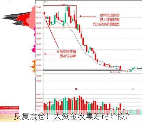 反复震仓！大资金收集筹码阶段？