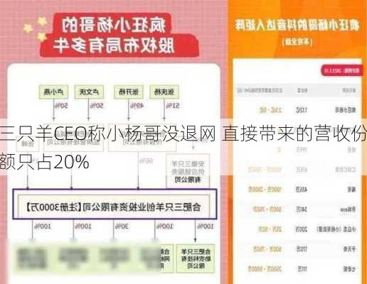 三只羊CEO称小杨哥没退网 直接带来的营收份额只占20%