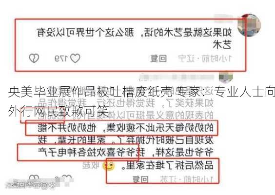 央美毕业展作品被吐槽废纸壳 专家：专业人士向外行网民致歉可笑