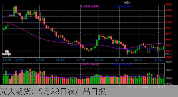 光大期货：5月28日农产品日报