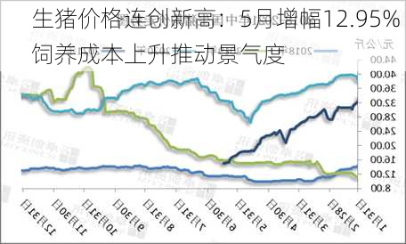 生猪价格连创新高：5月增幅12.95% 饲养成本上升推动景气度