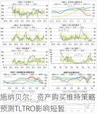 施纳贝尔：资产购买维持策略 预测TLTRO影响短暂