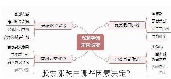 股票涨跌由哪些因素决定？