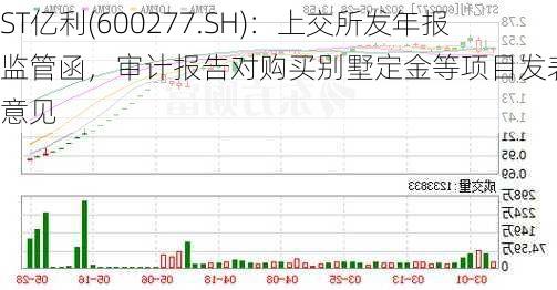 ST亿利(600277.SH)：上交所发年报监管函，审计报告对购买别墅定金等项目发表保留意见