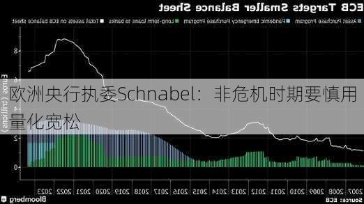 欧洲央行执委Schnabel：非危机时期要慎用量化宽松