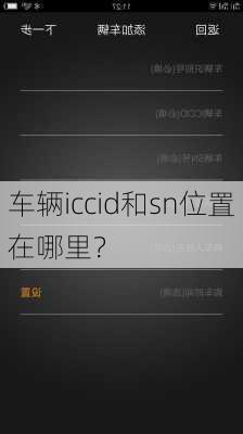 车辆iccid和sn位置在哪里？