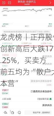 龙虎榜丨正丹股份创新高后大跌17.25%，买卖方前五均为“散户大本营”