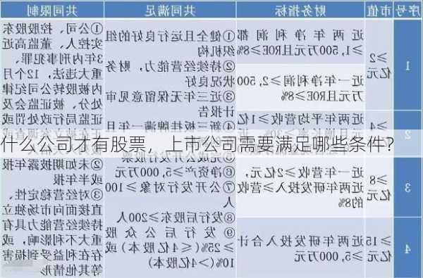 什么公司才有股票，上市公司需要满足哪些条件？