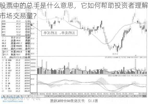 股票中的总手是什么意思，它如何帮助投资者理解市场交易量？