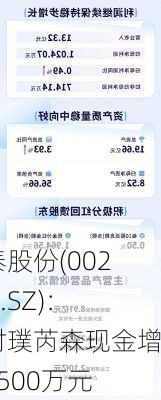 集泰股份(002909.SZ)：拟对璞芮森现金增资2500万元