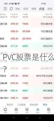 PVC股票是什么？