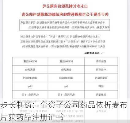 步长制药：全资子公司药品依折麦布片获药品注册证书