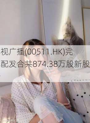 电视广播(00511.HK)完成配发合共874.38万股新股份