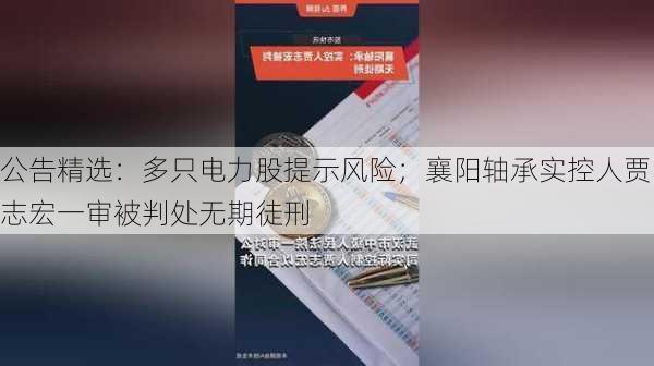 公告精选：多只电力股提示风险；襄阳轴承实控人贾志宏一审被判处无期徒刑