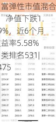 国富弹性市值混合A：净值下跌1.19%，近6个月收益率5.58%同类排名531|3475