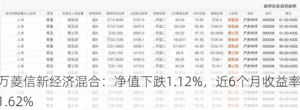 申万菱信新经济混合：净值下跌1.12%，近6个月收益率-11.62%