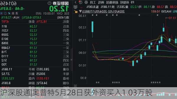 沪深股通|奥普特5月28日获外资买入1.03万股