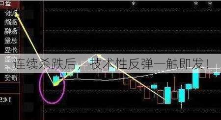 连续杀跌后，技术性反弹一触即发！