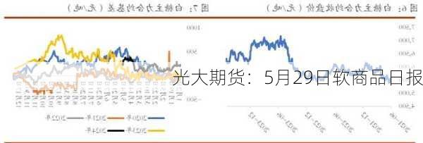 光大期货：5月29日软商品日报